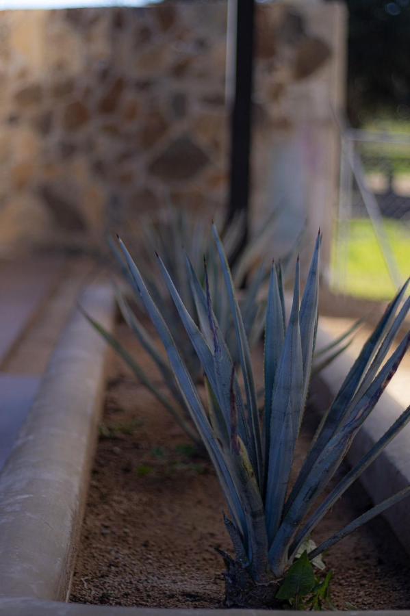 Catrina Valle - Ubicacion 10 Valle de Guadalupe Exterior foto